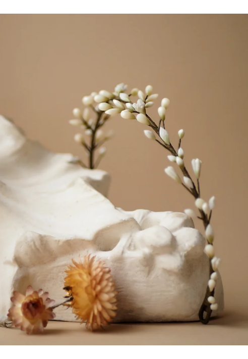 Lizeron Leo Tiara Biała