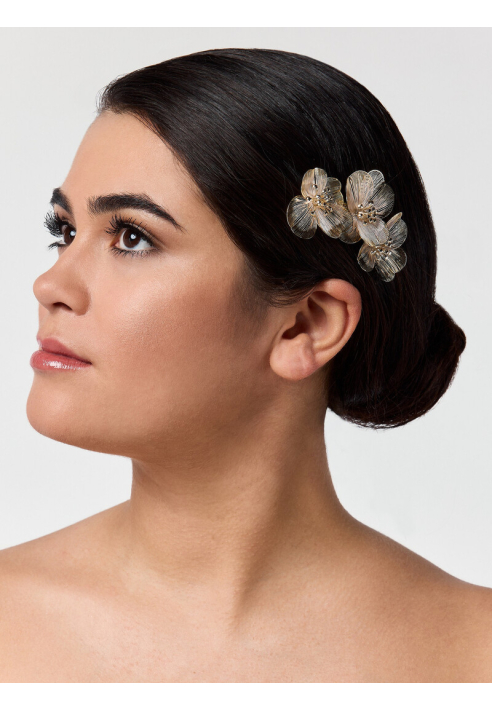 Poirier BB-75025 Grzebień do włosów Złoty ()